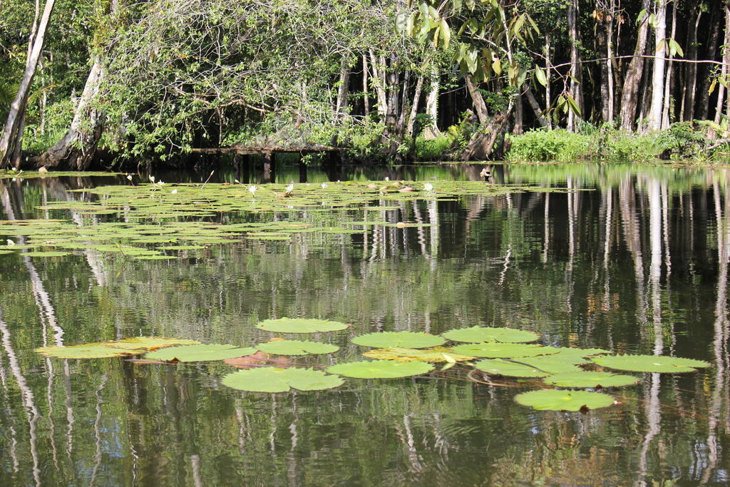 Hotel Y Restaurante Backpackers Rio Dulce Town Zewnętrze zdjęcie